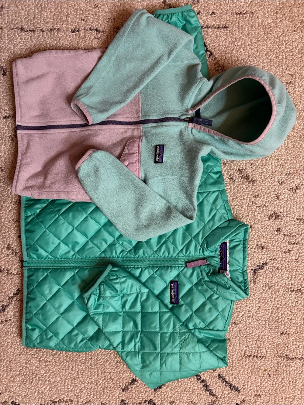 Patagonia fleece jacket and puffer (3T) EUC